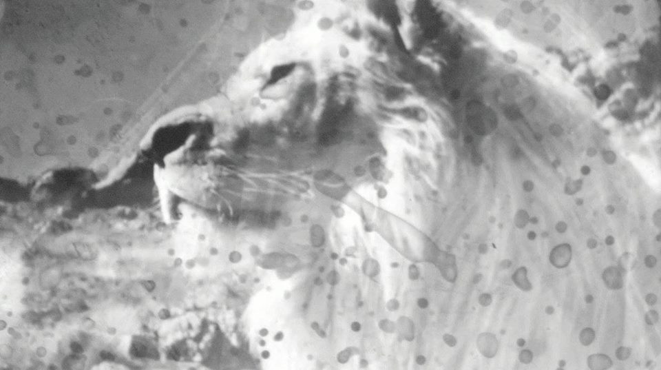 25348642_955069901312405_2813510795966656932_n