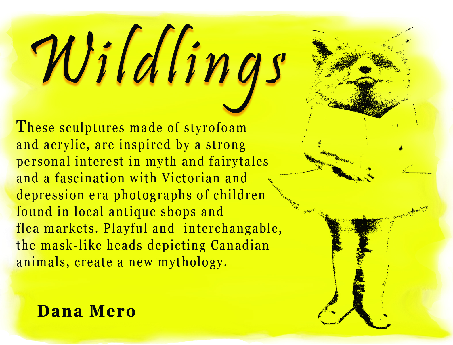 artist statement DanaMero